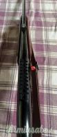 Remington 7400 in 7 mm Express Remington  | .280 Remington