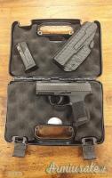 SIG-Sauer P365 9 LUGER 3.1