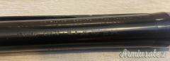 Benelli RAFFAELLO-121 12
