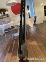 Beretta DT 10 trident 12