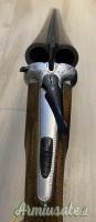 Beretta ausonia 12