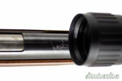 Diana 460 magnum 4.5/.177