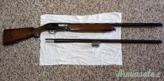 Beretta A301 12