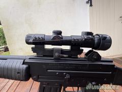 Beretta AR 70 .222 Remington