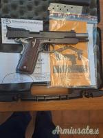 STI International Target Master .45 ACP