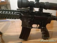 Norinco  CQA  .223 Remington e .22lr