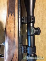 Remington Five .22 Long Rifle .22 Long Rifle