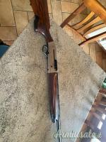 Beretta A400 12