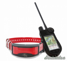 Sport dog Tek 2.0