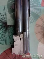 Rizzini ,, 12