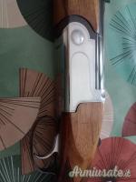 Rizzini ,, 12