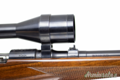 Steyr Mannlicher MCA 6.5x68mm  | RWS | Sch