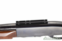 Remington 742 .30-06 Springfield