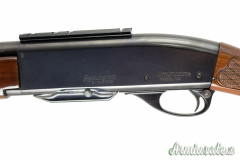 Remington 742 .30-06 Springfield