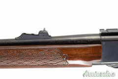 Remington 742 .30-06 Springfield
