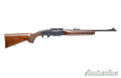 Remington 742 .30-06 Springfield