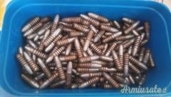 Palle in lega con Gas Check cal. 6,5 x 55