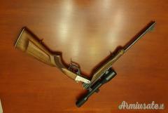 Basculante .22-250 Remington