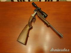 Basculante .22-250 Remington