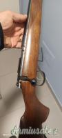 CZ | Ceska Zbrojovka cz .17 Hornady