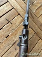 BSF Germania Ovest  4.5/.177