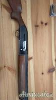 Beretta A301 12