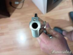 Ruger | Sturm GP 100  .357 Magnum  |  9x31mmR  | .353 Casull