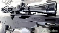 Ruger | Sturm Precision Rimfire  .22 Long Rifle