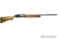 Beretta A300 12
