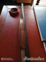 Benelli Federico  12