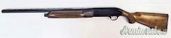 Beretta A301 12