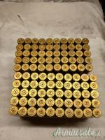 300 winchester magnum