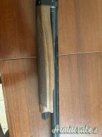 Benelli Montefeltro  12
