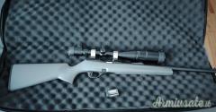 Remington 597 .22 Long Rifle