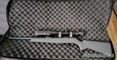 Remington 597 .22 Long Rifle