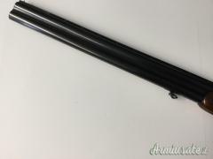Beretta ASEL 12