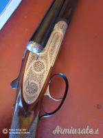 Daffini Holland  12