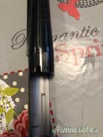 canna beretta a303