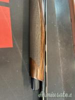 Benelli Raffaello A.I 20