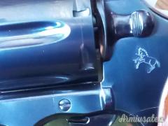 Colt Python .357 Magnum  |  9x31mmR  | .353 Casull