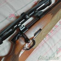 Steyr Mannlicher M .270 Winchester