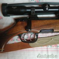 Steyr Mannlicher M .270 Winchester