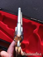 Pietta 1873 .45 Colt
