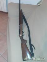 Benelli Crio  12