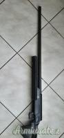SIG-Sauer 205 .308 Winchester