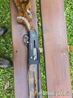 Beretta A300 outlander 12