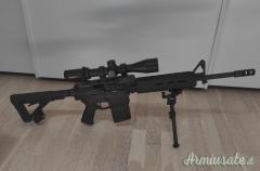 Bushmaster Ar 10 Moe  .308 Winchester