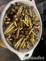 308 Primo Sparo