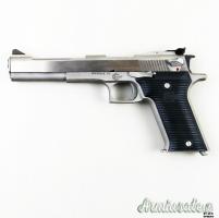 AMT Arcadia Machine & Tools Automag II .22 WMR