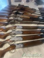 Beretta vari 12